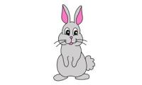 Como desenhar um coelho