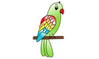Como desenhar um papagaio