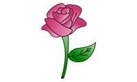 Como desenhar uma rosa
