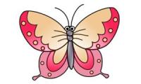 Como desenhar uma borboleta
