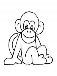 Macaco