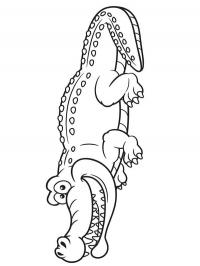 Crocodilo