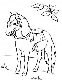 Cavalo