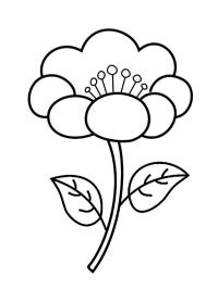 Flor simples