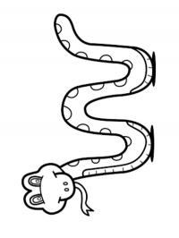 Cobra