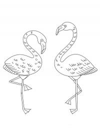 Dois flamingos