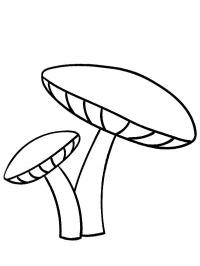2 cogumelos