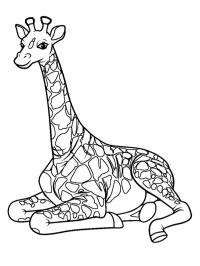 Girafa sentada