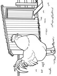Galinha