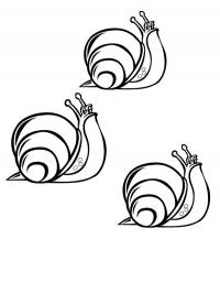 3 caracóis