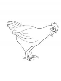 Galinha