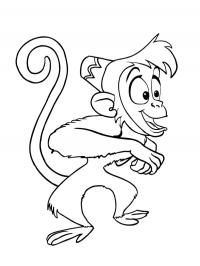 Macaco Abu
