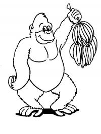 Macaco com bananas