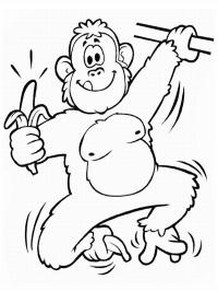 Macaco segurando banana