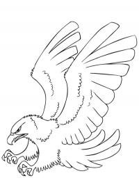 Águia
