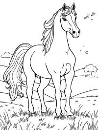 Cavalo Andaluz