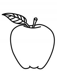 Maçã