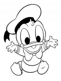Bebê Donald Duck