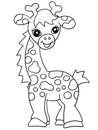Girafa bebê