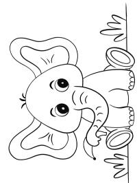 Elefante bebê