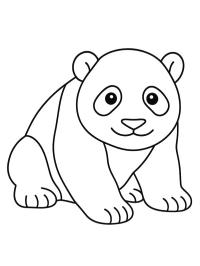 Bebê panda