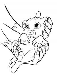 Simba bebê