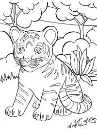 Tigre filhote