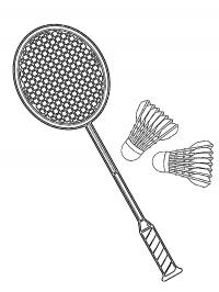 Raquete e petecas de badminton