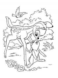 Bambi e Tambor