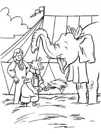 Bassie e Adriaan com elefante