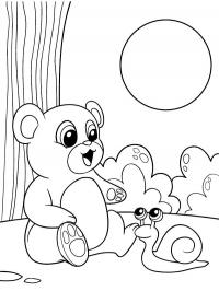 Urso e caracol