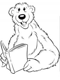 Urso lendo livro