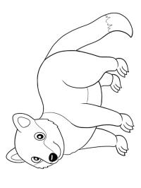 Binturong