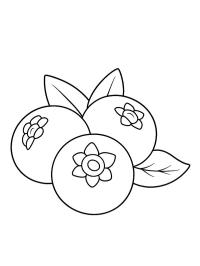 Mirtilos