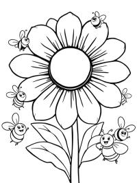 Flores e abelhas