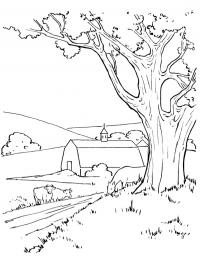 Paisagem de fazenda