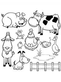 Animais da fazenda