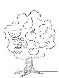 Árvore com frutas