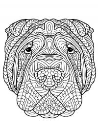 Mandala Box Cachorro