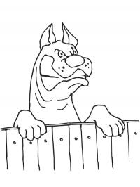 Cachorro bravo