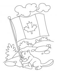 Castor segurando a bandeira do Canadá