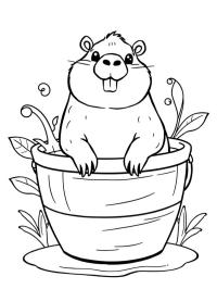 Capivara no balde