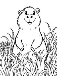Capivara na grama