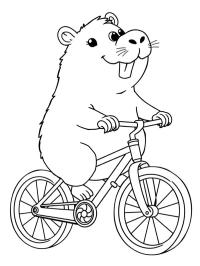 Capivara na bicicleta