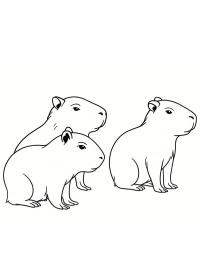 Filhotes de capivara