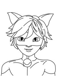 Cat Noir de Miraculous