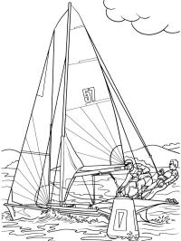 Velejando de catamarã