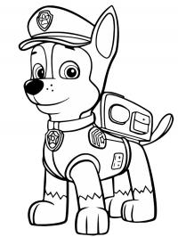 Chase Patrulha Canina
