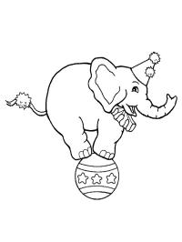 Elefante de circo sobre uma bola