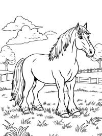 Cavalo Clydesdale